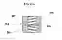 Fig. 33 - Double-end threaded body and internally-threaded body