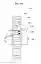 Fig. 80 - Double-end threaded body and internally-threaded body