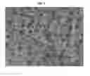Fig. 08 - Noise reducing structure of speed reduction device for electric CVVT