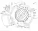 Fig. 01 - Torque limiter, variable transmission ratio device, and tolerance ring