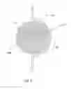 Fig. 07 - Clutch with wire pivot ring having straight sections