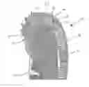 Fig. 01 - Driven plate with intermediate plate centering guide
