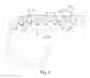 Fig. 03 - Inverted tooth chain having inner flank engagement