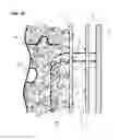 Fig. 11 - Building envelope and method for adjusting the temperature in a building
