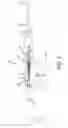 Fig. 02 - Rimfire rifle