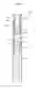Fig. 09 - Lighted arrow nock
