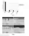 Fig. 06 - Method of testing the oxidation resistance of an alloy
