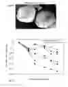 Fig. 06 - ASSESSMENT OF RISK OF HYPERTENSION AND METHODS BASED THEREON