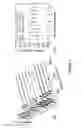 Fig. 08 - Method of stamping surface-enhance Raman spectroscopy for label-free, multiplexed, molecular sensing and imaging