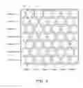 Fig. 04 - Hatching egg inspection apparatus and hatching egg inspecting method using a central and outer light emitter