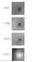 Fig. 09 - Object information obtaining apparatus, program, and imaging system