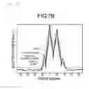 Fig. 10 - Ultrasonic apparatus