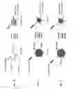 Fig. 09 - Systems and methods for high-resolution imaging