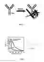 Fig. 02 - Fluorescent methods and materials for directed biomarker signal amplification