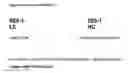 Fig. 24 - Methods and compositions for screening and detecting biomarkers