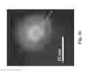 Fig. 07 - Core-shell nanoparticles comprising same element of different isotopes