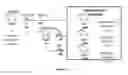 Fig. 02 - METHODS AND KITS FOR DETECTING ANTIGEN-INDUCED MEMORY CD8+ T CELLS