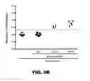 Fig. 09 - Method for detection of aggregates in biological samples