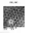 Fig. 43 - Computer-aided simulation method for atomic-resolution scanning seebeck microscope (SSM) images