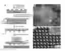 Fig. 01 - MULTIFUNCTIONAL GRAPHENE COATED SCANNING TIPS