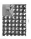 Fig. 06 - MULTIFUNCTIONAL GRAPHENE COATED SCANNING TIPS