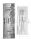Fig. 16 - MULTIFUNCTIONAL GRAPHENE COATED SCANNING TIPS