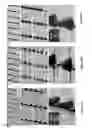 Fig. 20 - MULTIFUNCTIONAL GRAPHENE COATED SCANNING TIPS