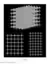 Fig. 06 - 3D printed physical phantom utilized in measuring 3D geometric distortion occurring in MRI and CT images