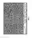 Fig. 02 - Composite filter for visible light transmission and long wave reflection