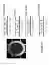 Fig. 29 - Image stabilization and shifting in a liquid crystal lens