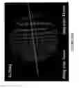 Fig. 32 - Image stabilization and shifting in a liquid crystal lens