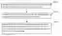 Fig. 01 - Method for manufacturing polymer dispersed liquid crystal (PDLC) panel