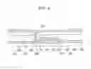 Fig. 07 - Display device and manufacturing method thereof