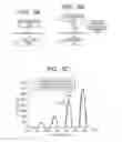 Fig. 06 - Recording medium determination apparatus and image forming apparatus