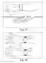 Fig. 25 - Wearable computing devices and methods for the wrist and/or forearm