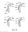 Fig. 35 - Motion recognition clothing [TM] with flexible electromagnetic, light, or sonic energy pathways
