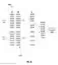Fig. 03 - Efficiency sets in a distributed system