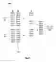 Fig. 04 - Efficiency sets in a distributed system