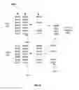 Fig. 06 - Efficiency sets in a distributed system