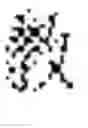 Fig. 294 - Ideographical member identification and extraction method and machine-translation and manual-correction interactive translation method based on ideographical members