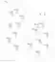 Fig. 09 - Federating Mote-Associated Index Data