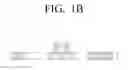 Fig. 03 - Method of generating secondary index and apparatus for storing secondary index