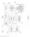 Fig. 02 - Input correction enhancement