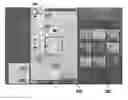 Fig. 01 - Systems and methods for split screen display of biological specimen and for capturing records thereof