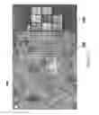 Fig. 13 - Systems and methods for split screen display of biological specimen and for capturing records thereof