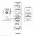 Fig. 22 - Systems and methods for split screen display of biological specimen and for capturing records thereof