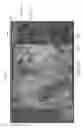 Fig. 27 - Systems and methods for split screen display of biological specimen and for capturing records thereof