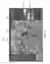 Fig. 29 - Systems and methods for split screen display of biological specimen and for capturing records thereof