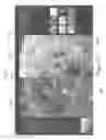 Fig. 30 - Systems and methods for split screen display of biological specimen and for capturing records thereof