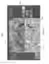 Fig. 31 - Systems and methods for split screen display of biological specimen and for capturing records thereof